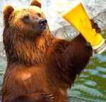 Papa Bear Beer.jpg