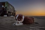 Atlas puppy Pismo sand.jpg