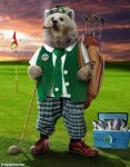 Papa Bear-Playing-Golf.jpg