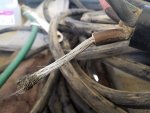 20190505_085816.jpg 20190505_085816.jpg