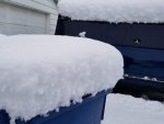 20191128_093847.jpg 20191128_093847.jpg