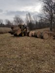 Skidsteer trunk.jpg