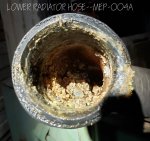 Lower radiator hose--MEP-004A.jpg