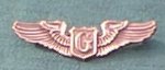 glider pilot wings.jpg