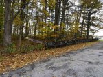 DSC00205.JPG
