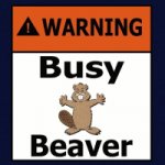 beaver.jpg