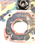 1 year old composite gasket.png
