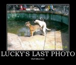 Luckys_Last_Photo.jpg