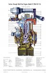 D1246 MV0001.jpg