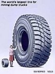 my big tire.jpg