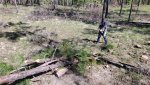 20220409_103349.jpg 20220409_103349.jpg