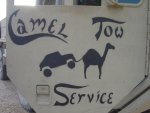 Camel Tow Srevice Iraq.jpg