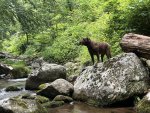 blake sheppard at 2023 Rapidan River.jpg