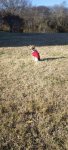 20231212_141854.jpg 20231212_141854.jpg
