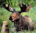 happy birthday moose 3b.jpg