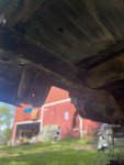 IMG_1952.jpeg