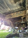 IMG_1949.jpeg