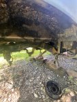 IMG_1947.jpeg
