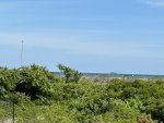 IMG_5875.jpeg
