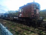 IMG_20190413_165017946.jpg