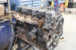 CUMMINS BEGINNING.jpg