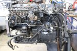 CUMMINS BEGINNING 2.jpg