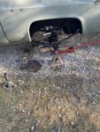 IMG_2094.jpeg