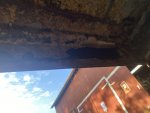 IMG_2124.jpeg