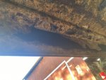IMG_2125.jpeg