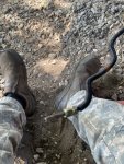 IMG_2163.jpeg