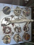 IMG_2016.jpeg
