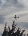 IMG_4207.jpeg