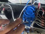 IMG_2085.jpeg