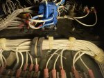 IMG_2089.jpeg