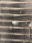 20250328-092009-002.jpg