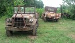 IMG_20130719_095142_153.jpg