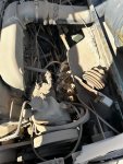 IMG_2143.jpeg