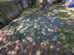 PXL_20250410_171414751.jpg