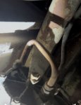 IMG_1020.jpeg