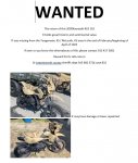 wanted.JPG