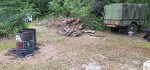 Oak Trees Cut 3a.jpeg