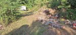 Oak Trees Cut 5b.jpeg