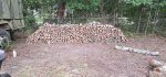 Oak Trees Cut 7.jpeg