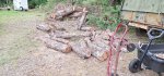 Oak Trees Cut 7a.jpeg