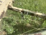 IMG_2521.jpeg