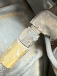 IMG_1596.JPEG