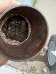 IMG_1595.JPEG
