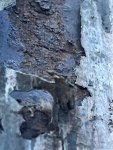 IMG_0756.jpeg