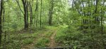 20250823_134736.jpg