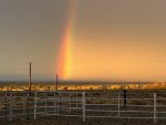 IMG_1415.jpeg